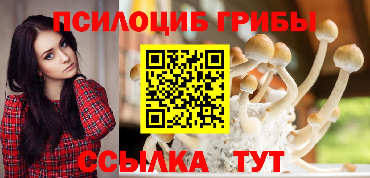 Галлюциногенные грибы Cubensis  Вход с VPN  Троицк 